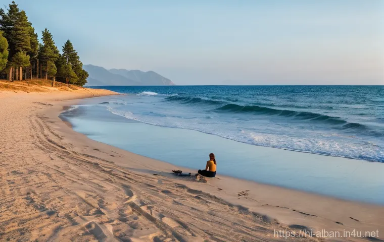 알바니아에서 서핑 가능 지역 - **Prompt:** A dynamic, sun-drenched shot of a male surfer catching a perfect wave on the clear, turq...
