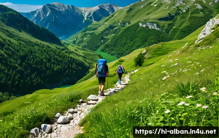 알바니아에서 발칸 여행 코스 - A scenic trekking trail in the Durmitor Valley, Montenegro, showcasing lush green mountains under a ...